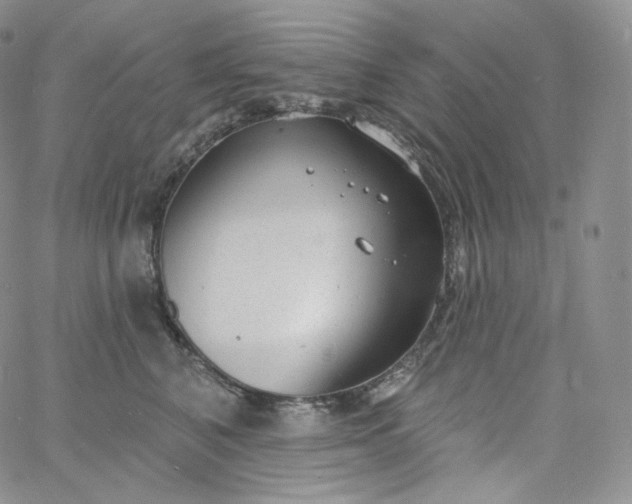 X0000060810616200511241937