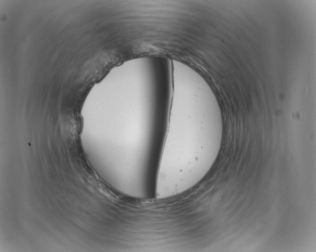 X0000060810617200511241937