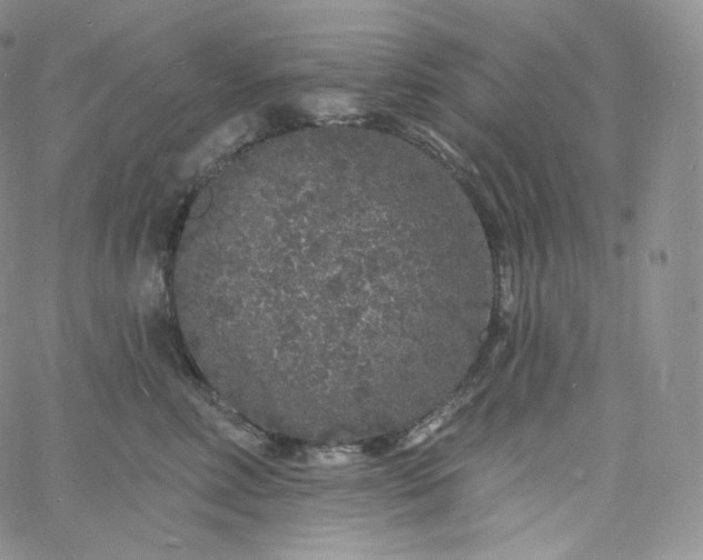 X0000060810618200511241937