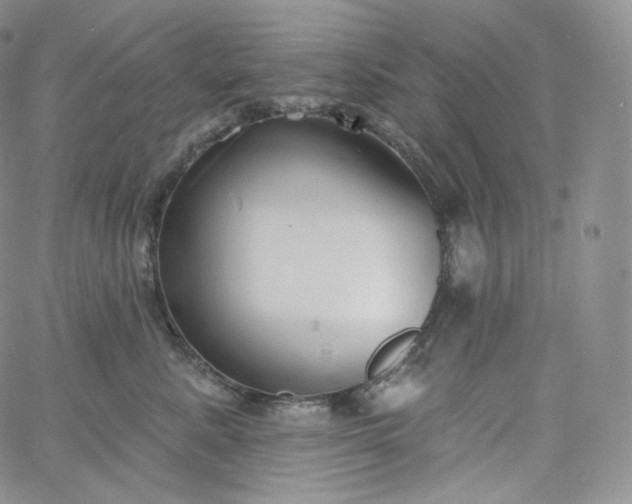 X0000060810619200511241937