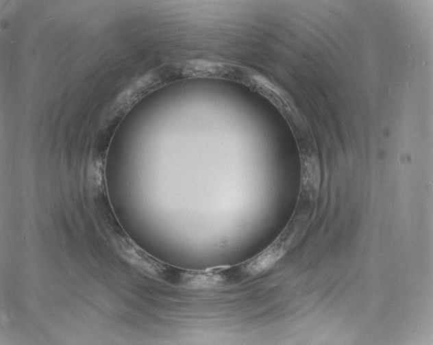 X0000060810621200511241937