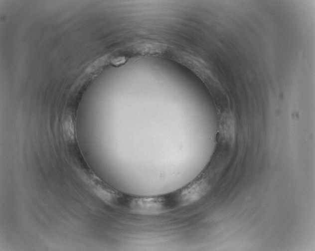 X0000060810622200511241937