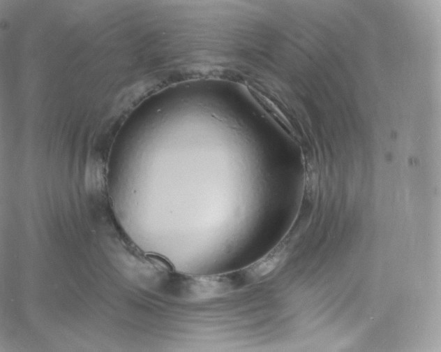 X0000060810623200511241937