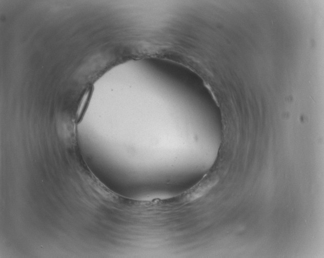 X0000060810624200511241937