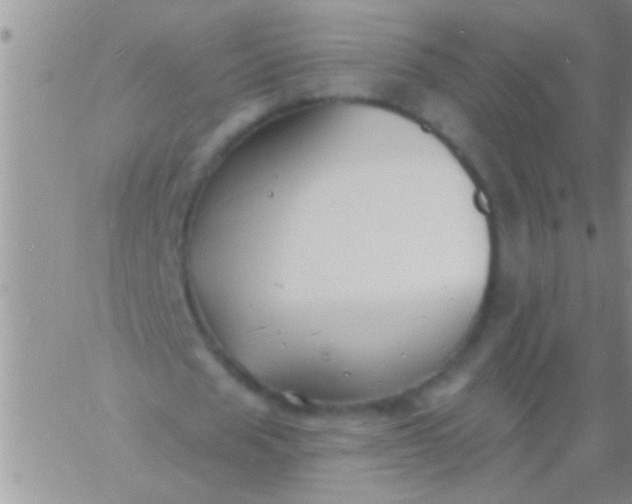 X0000060810625200511241936