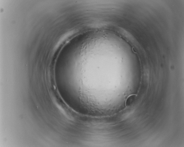 X0000060810626200511241936