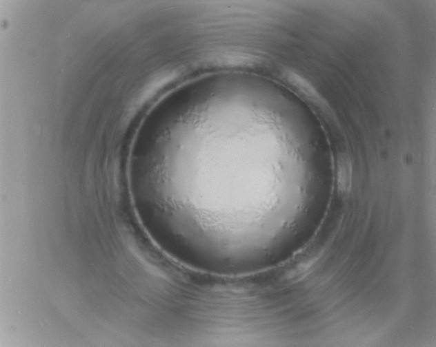 X0000060810627200511241936