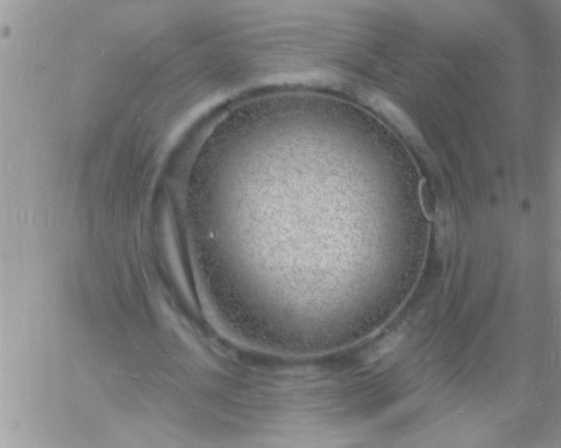 X0000060810628200511241936