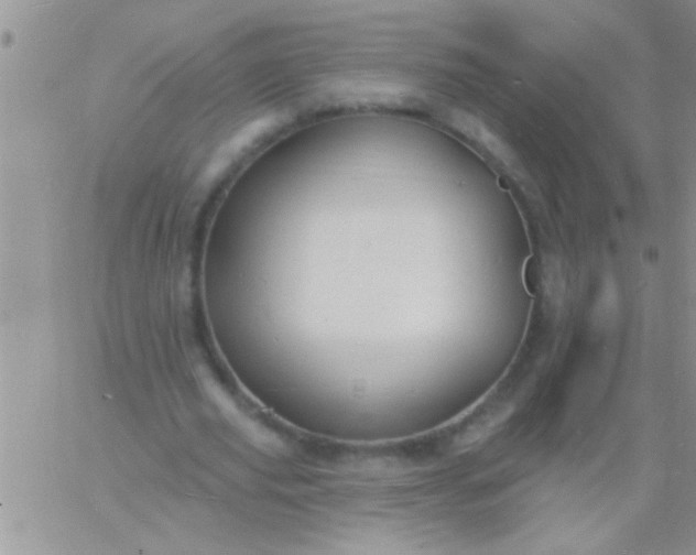 X0000060810629200511241936