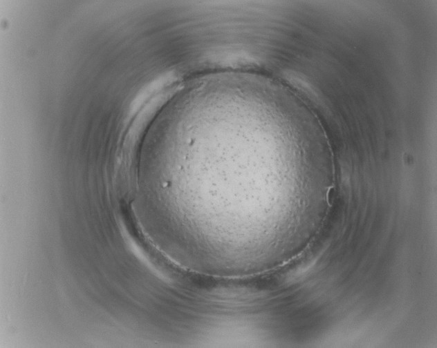 X0000060810630200511241936