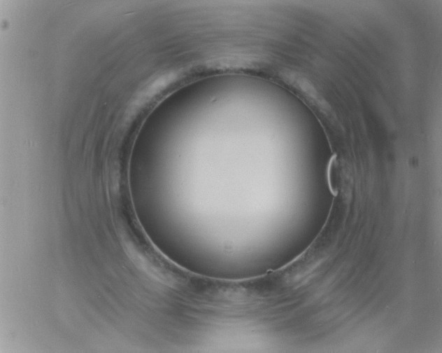 X0000060810631200511241936