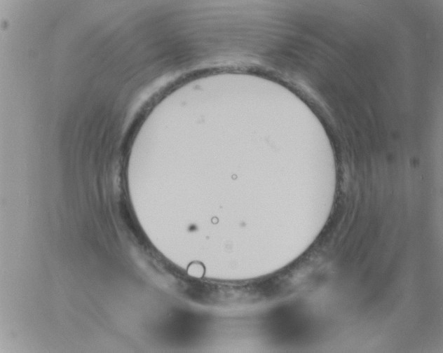 X0000060810632200511241936