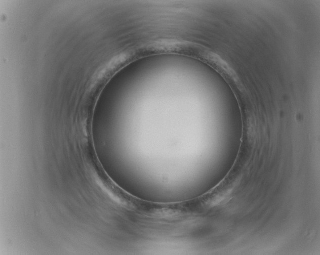 X0000060810633200511241936