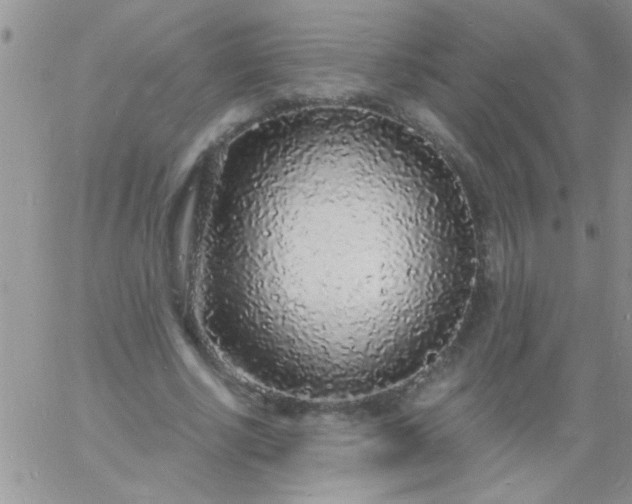 X0000060810634200511241936