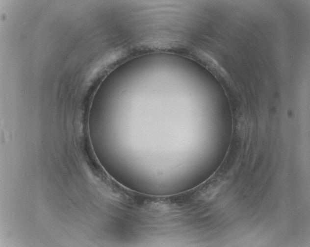 X0000060810635200511241936