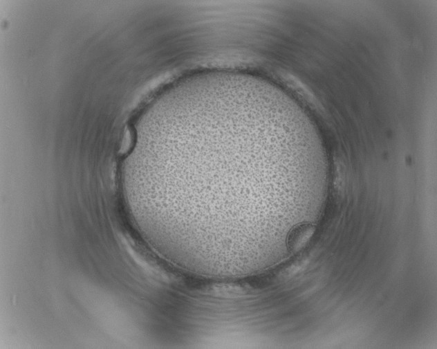 X0000060810636200511241936