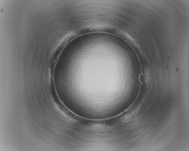 X0000060810637200511241936