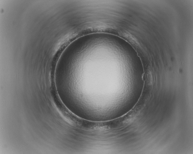 X0000060810638200511241936