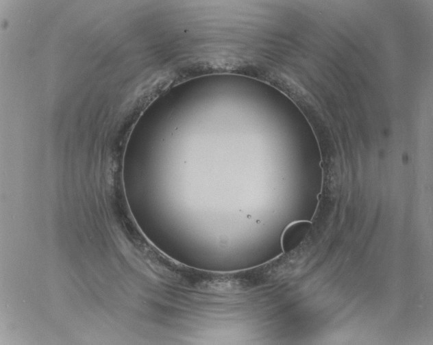 X0000060810639200511241936