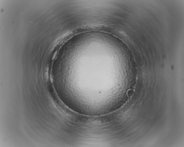 X0000060810640200511241936