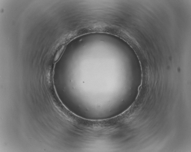 X0000060810641200511241936