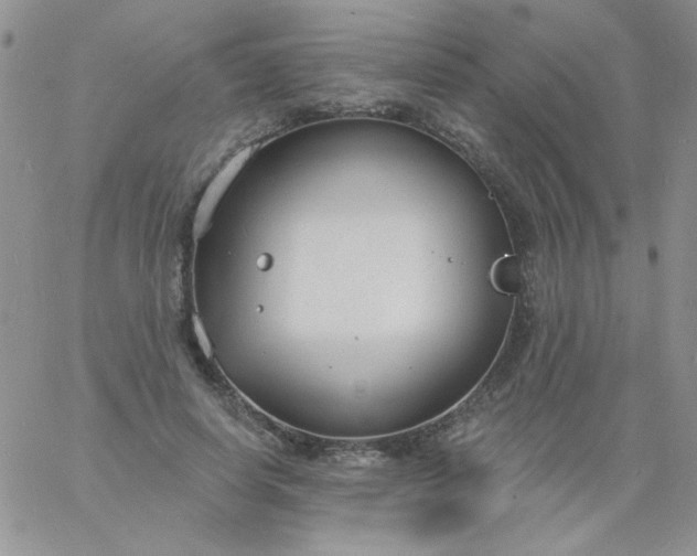 X0000060810642200511241936