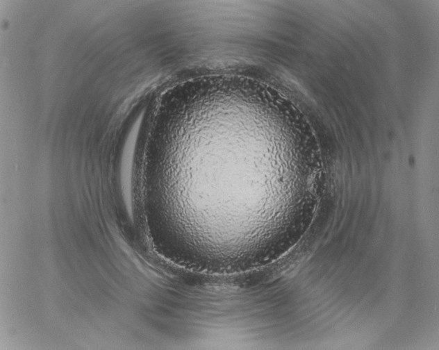 X0000060810644200511241936