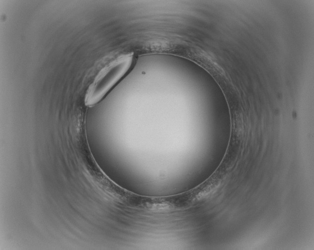 X0000060810645200511241936