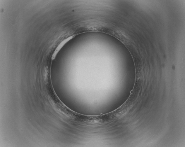 X0000060810646200511241936