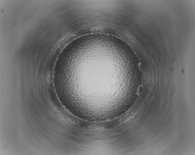 X0000060810648200511241936