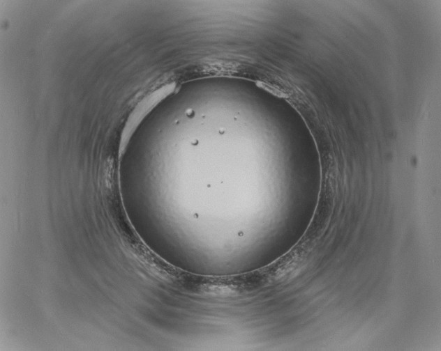 X0000060810649200511241936