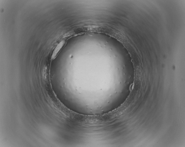 X0000060810650200511241936