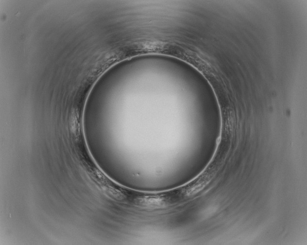 X0000060810651200511241936