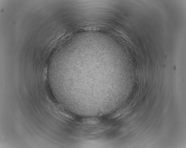 X0000060810652200511241936