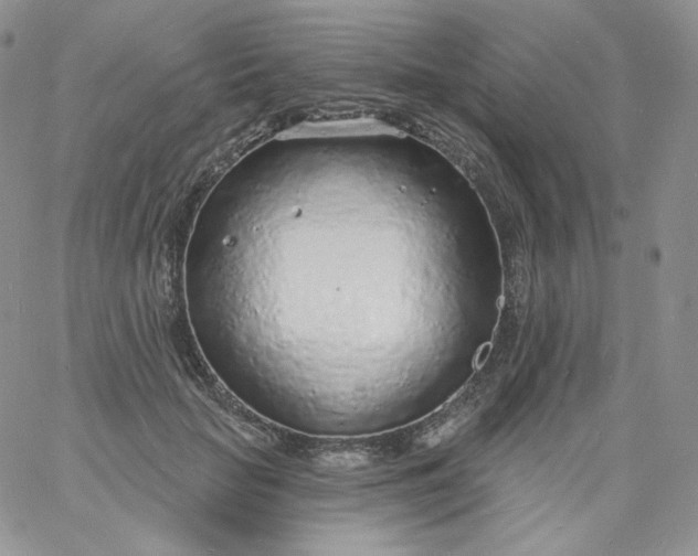 X0000060810653200511241936