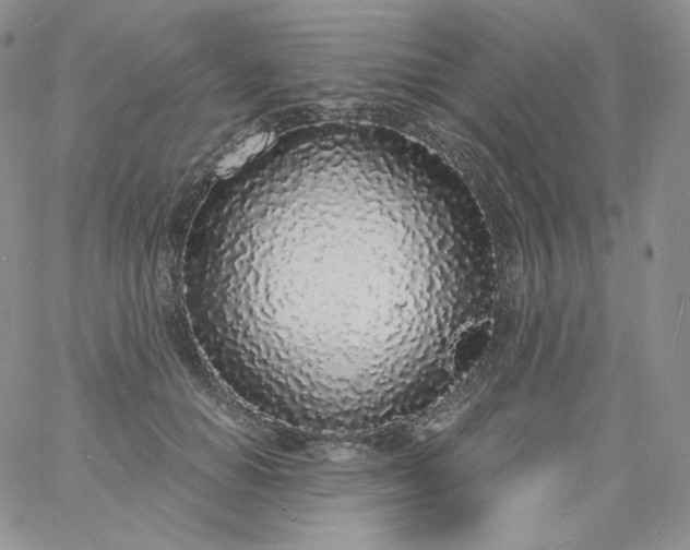 X0000060810654200511241936