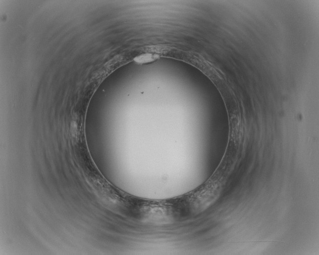 X0000060810655200511241937