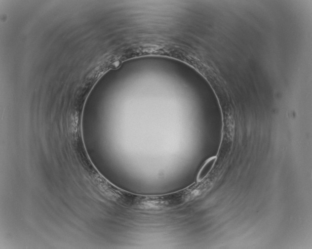 X0000060810657200511241937