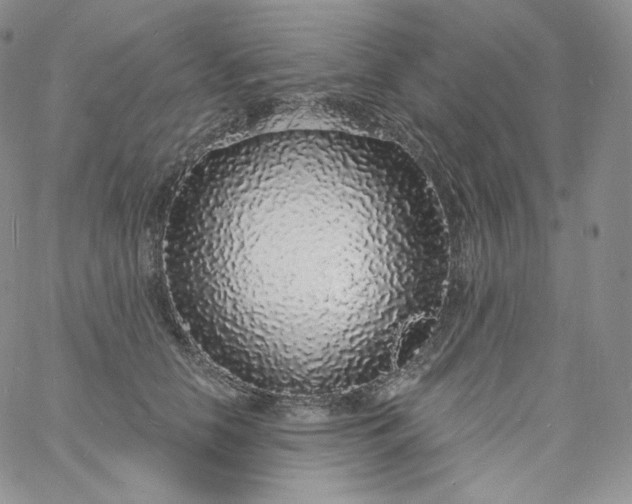 X0000060810658200511241937