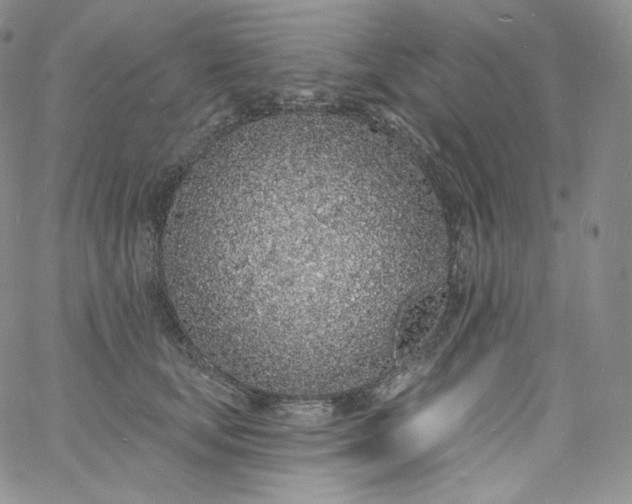 X0000060810659200511241937