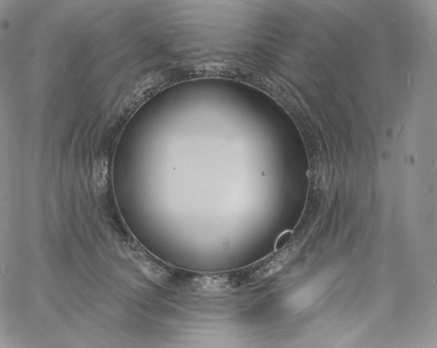 X0000060810660200511241937