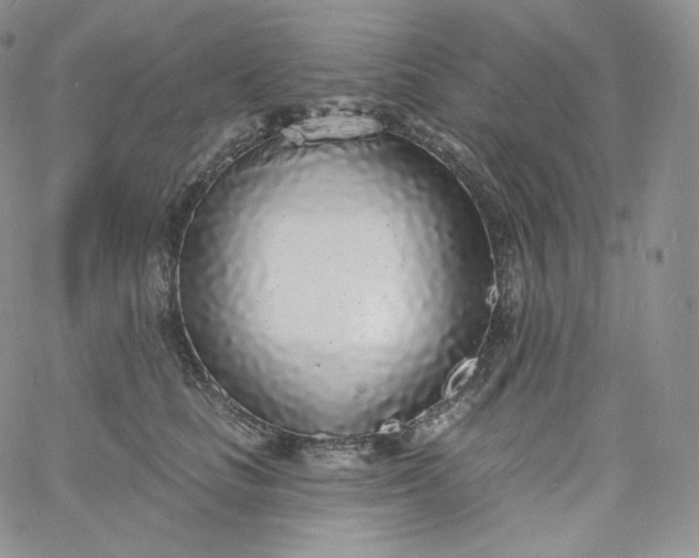 X0000060810661200511241937