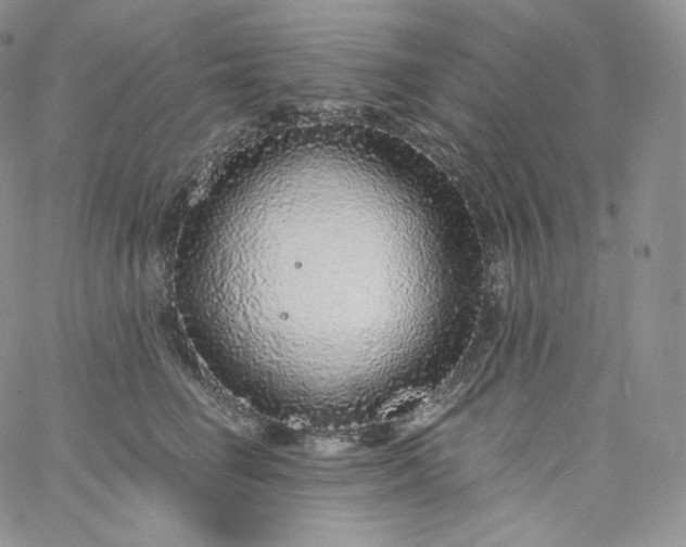 X0000060810662200511241937