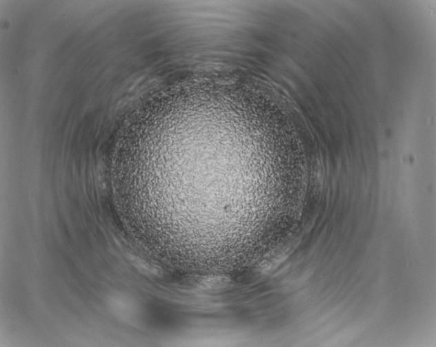 X0000060810663200511241937