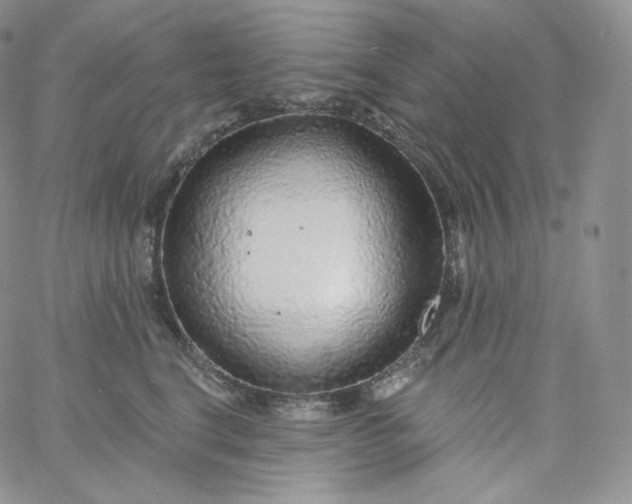 X0000060810664200511241937