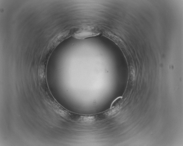 X0000060810665200511241937