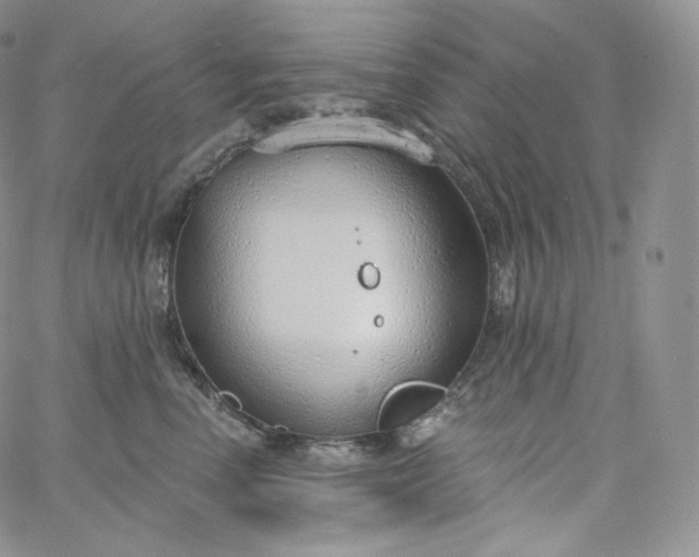 X0000060810666200511241937