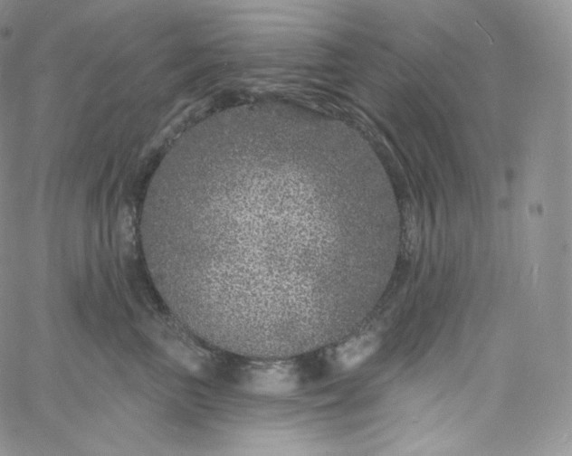 X0000060810667200511241937