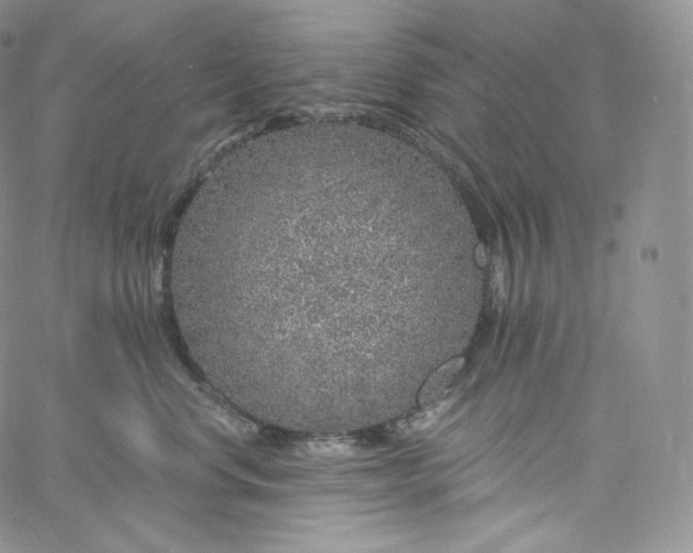 X0000060810668200511241937