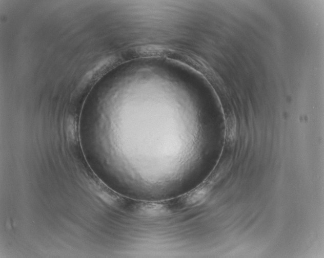 X0000060810669200511241937